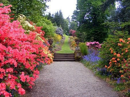 Garden path.